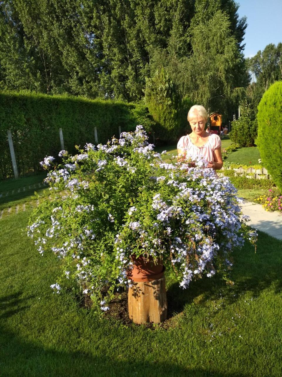 Golya Vendeghaz Lägenhet Tiszaug Exteriör bild